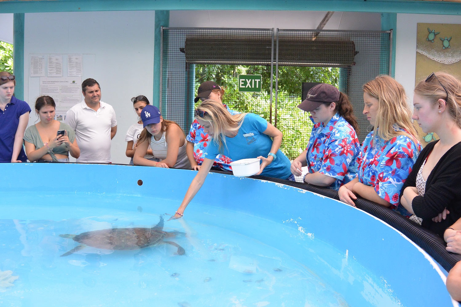 Cairns Turtle Rehabilitation Centre