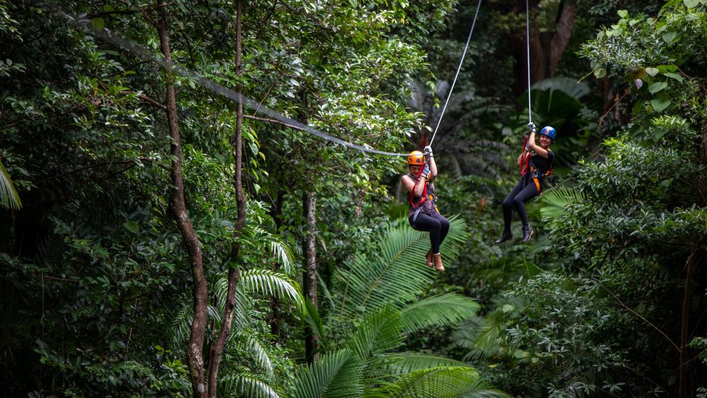 Reef & Rainforest Immersion